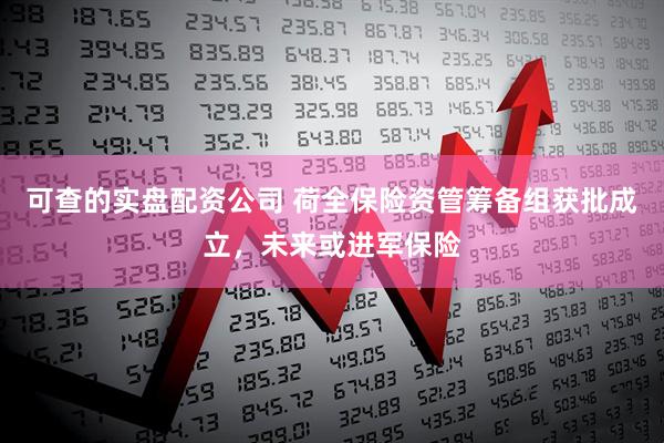 可查的实盘配资公司 荷全保险资管筹备组获批成立，未来或进军保险