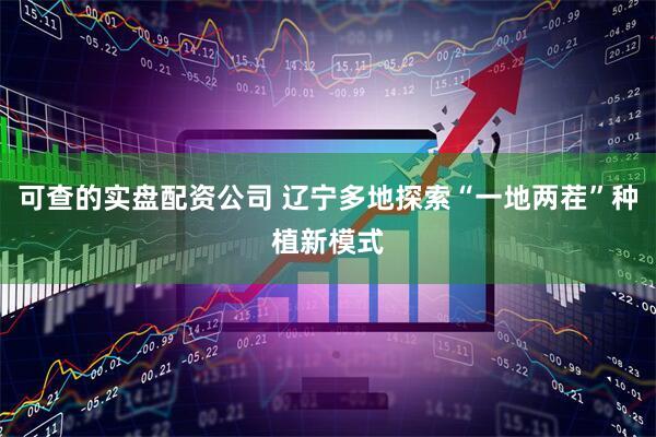可查的实盘配资公司 辽宁多地探索“一地两茬”种植新模式